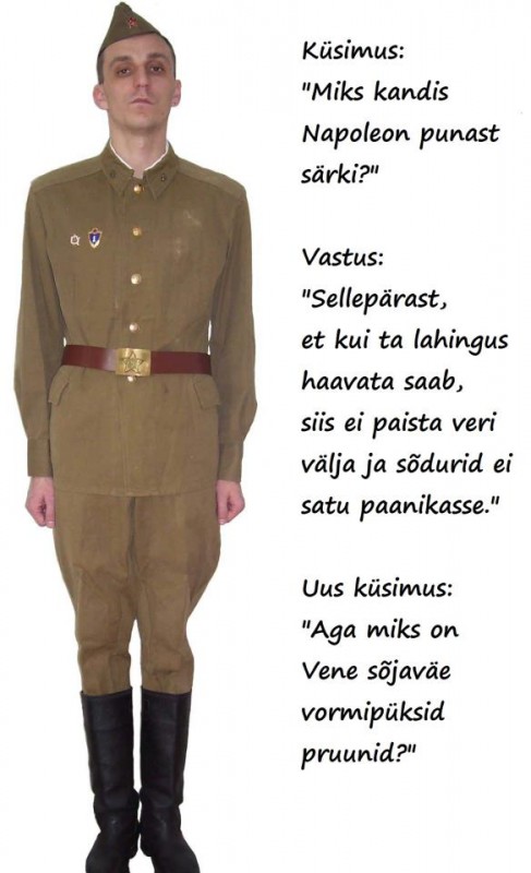 pilt.jpg