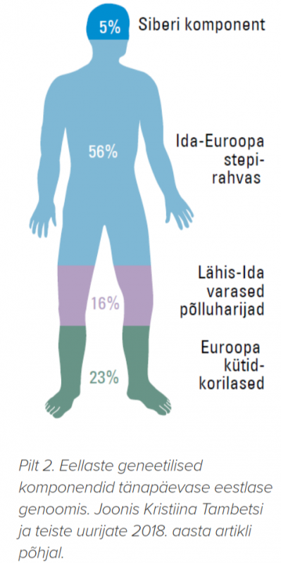 Viis_müüti_eesti_rahva_kujunemisloost_ja_selle_uurimise_köögipoolest_Ajalugu_ERR_-_2021-01-21_17.36.09.png
