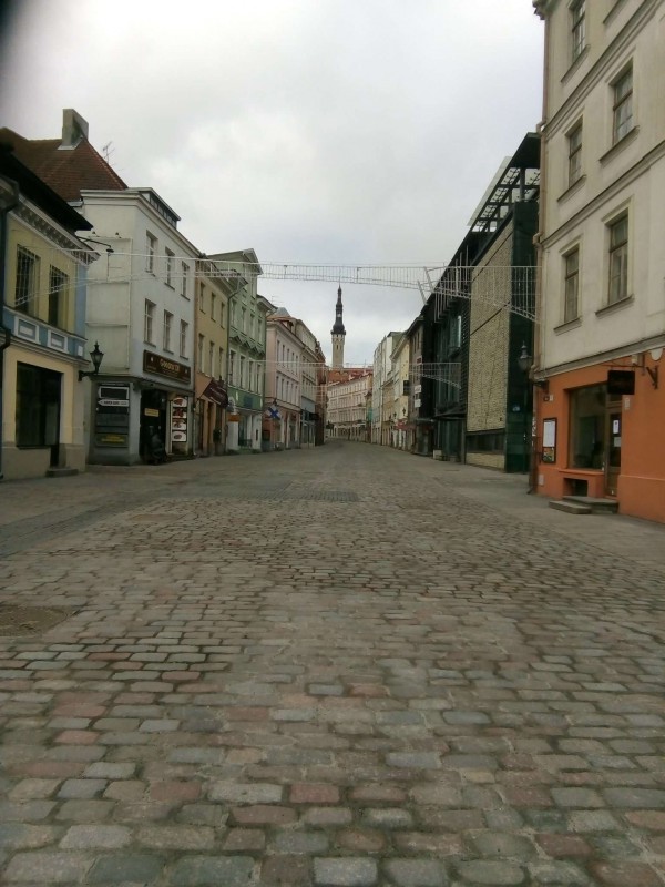 virutn17032021 keskpäev.JPEG