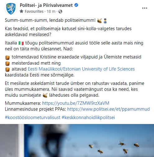 politsei mesilased.jpg