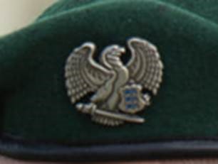 K Embleem.jpg