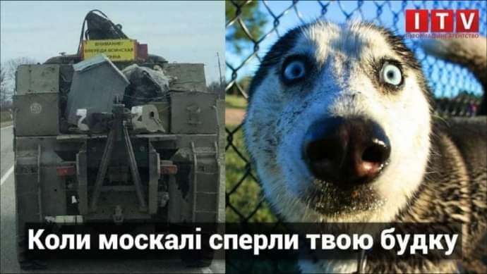 4FB26DEC-78D4-46A3-BF3A-C9ECCB852CAD.jpeg
