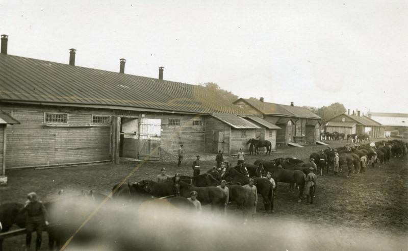 ratsaväerüg üld05.jpg