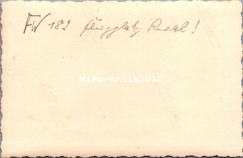 Fw 189 2.jpg