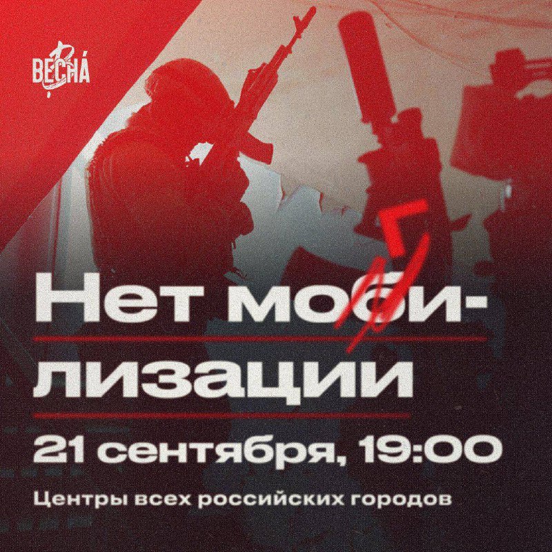 Net MOGILizatsi.jpg