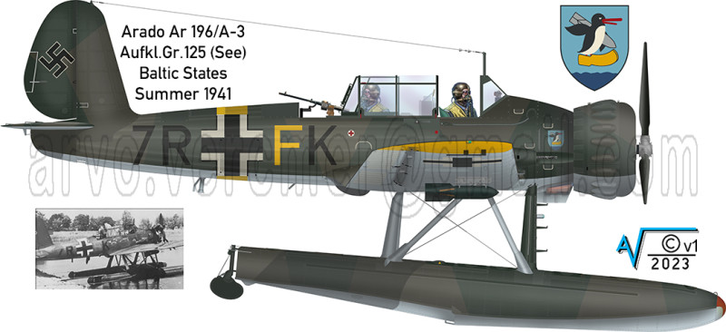 Arado Ar 196A3 SAGr 125 7R+FK STBD v2 MilNet (1050px).jpg