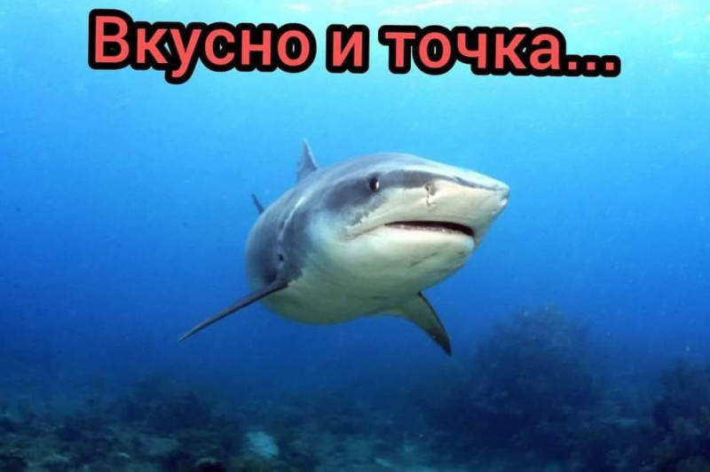 IMG_0328.jpeg