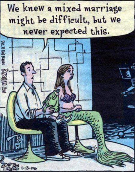 FB_IMG_1707576968347.jpg