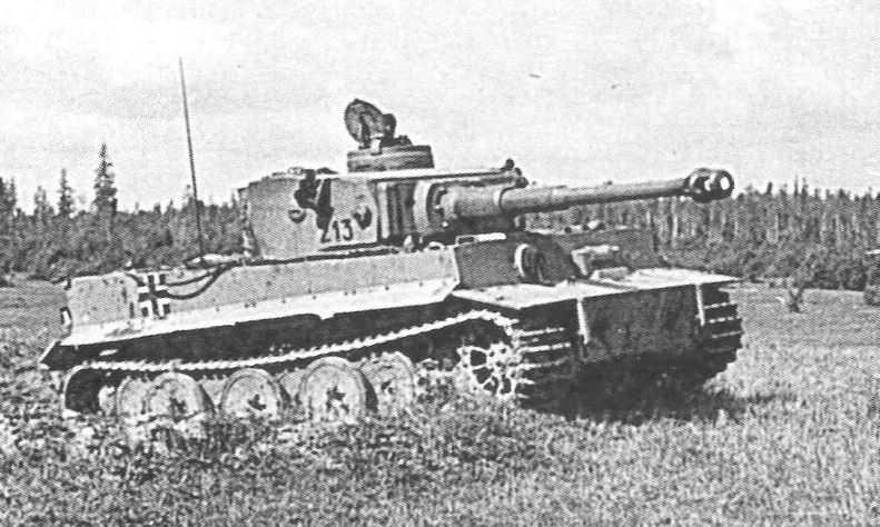Tiger 213.JPG