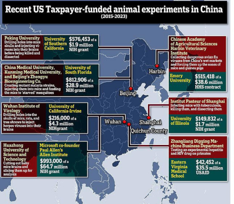 Screenshot 2024-04-20 at 08-20-32 (19) Chuck Callesto on X SHOCK REPORT ⚠️ USDA and Chinese CCP Laboratory Collaborated on $1 Million Project CREATING LETHAL BIRD FLU VIRUSES Funded by Taxpayer Dollars.. PAYING ATT[...].png