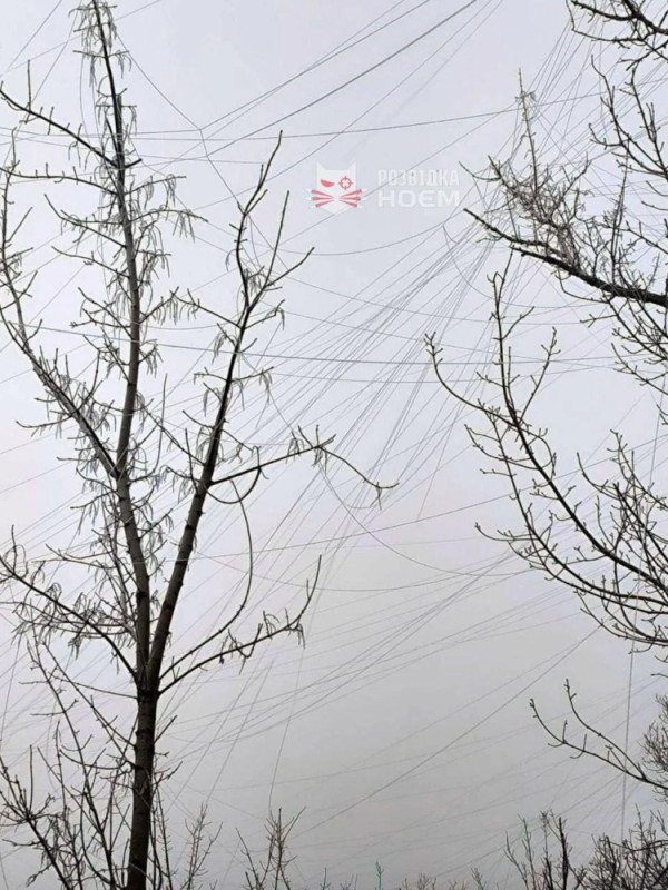 remains-of-fiber-optic-wires-from-drones-flying-on-the-v0-bxkglej1bppe1.jpg