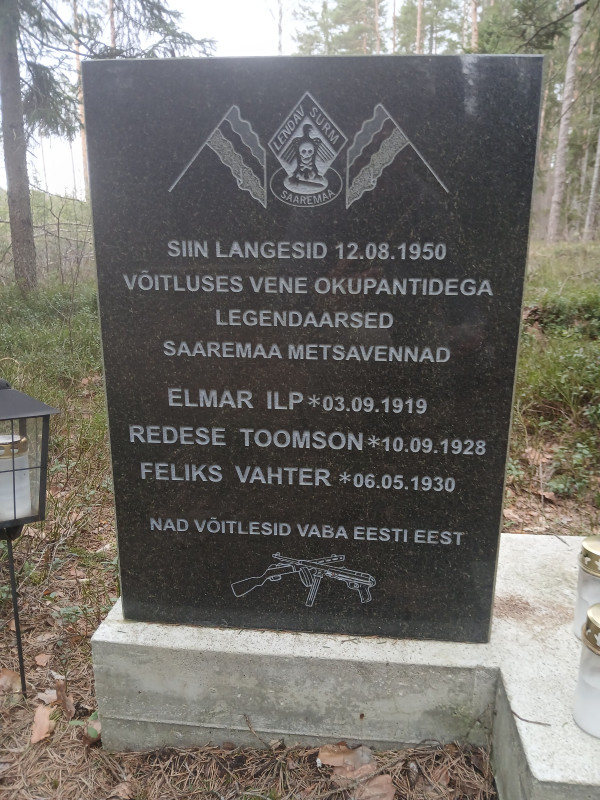 20250412_112555_va.jpg