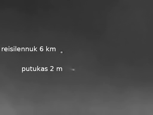 Reisilennuk ja putukas