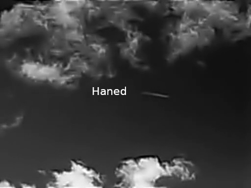Haned veelkord
