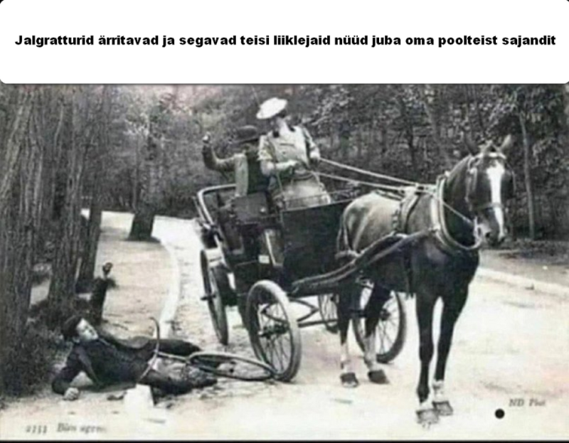 krdi jalgrattur.png