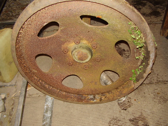 P1015831.JPG