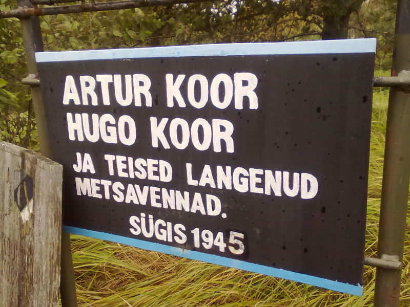 pilt226.jpg