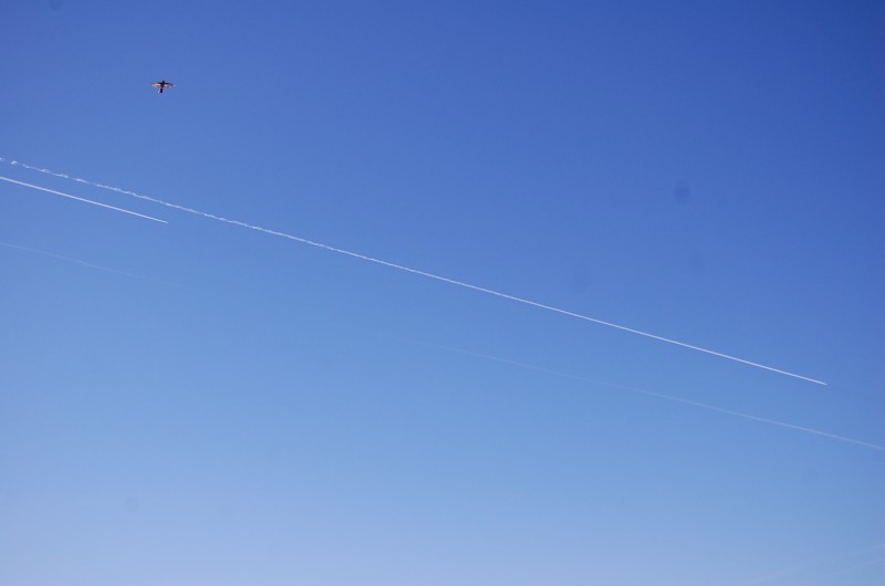 DSC_0006.JPG