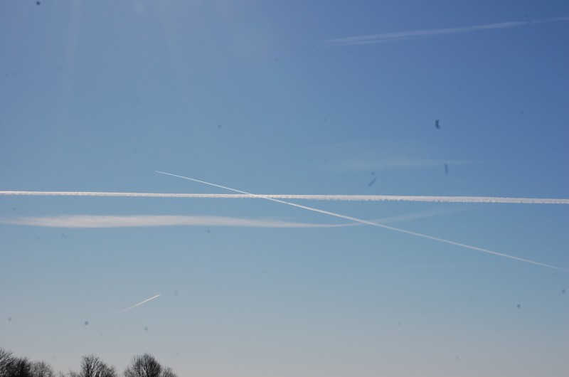DSC_0009.JPG