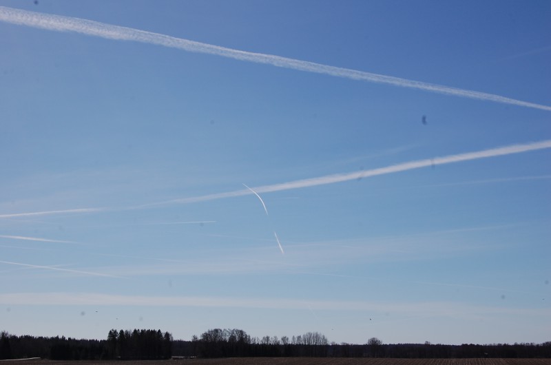 DSC_0016.JPG