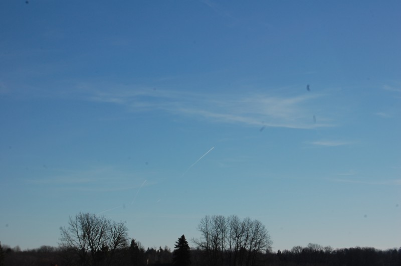 DSC_0003.JPG