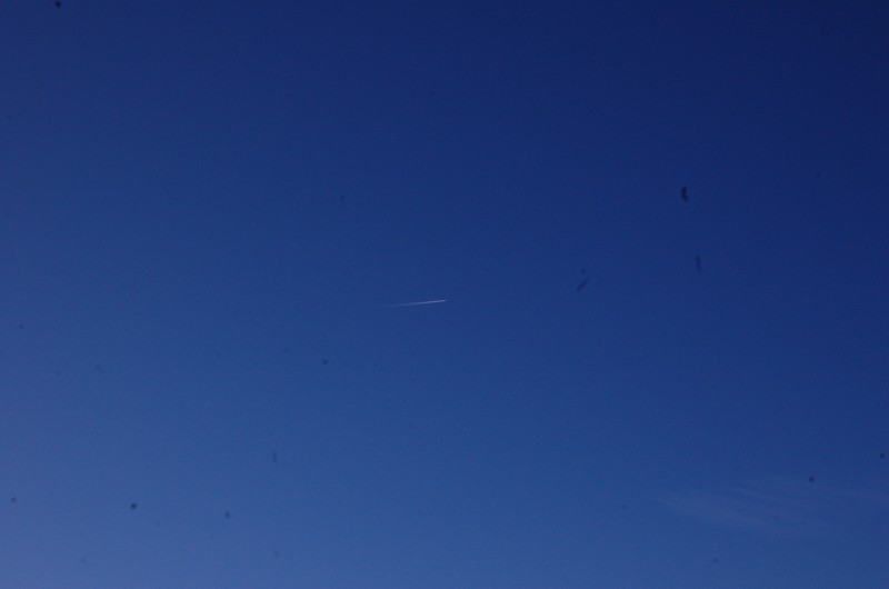 DSC_0018.JPG