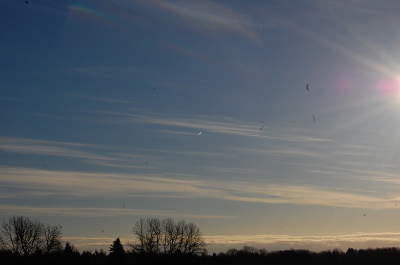 DSC_0020.JPG