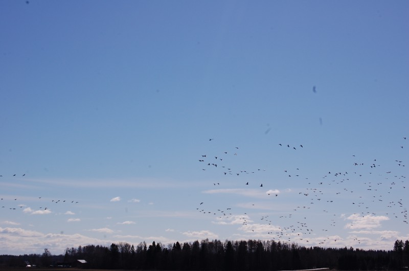 DSC_0024.JPG