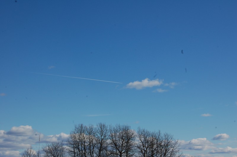 DSC_0025.JPG