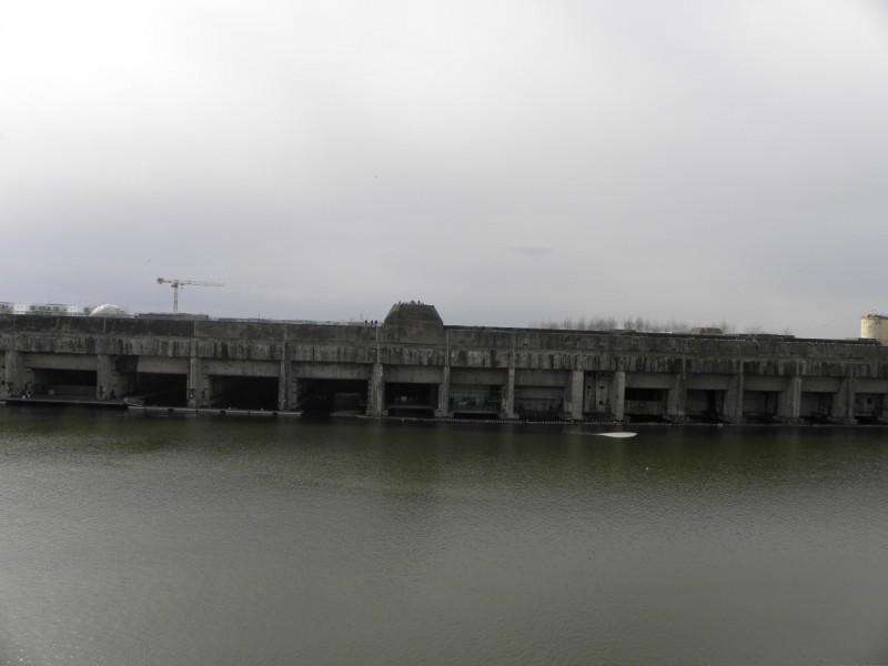 P3294654.JPG