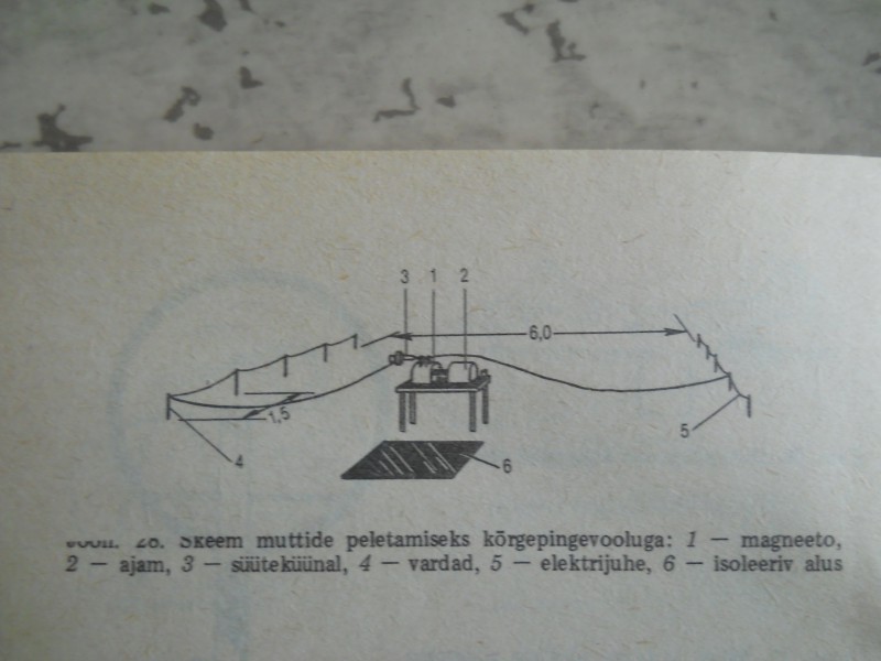 DSCN3242.JPG