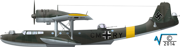Dornier Do 24T1 CM+RY SNGr 81 PORT v1 MilNet (750px).jpg