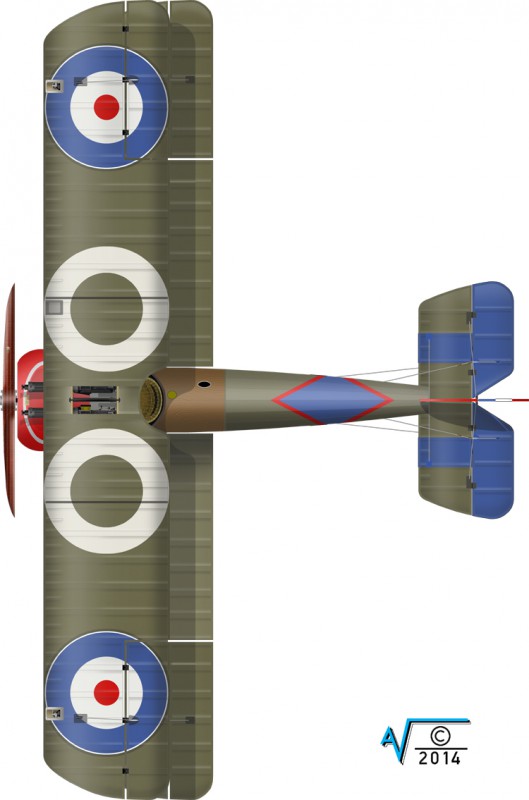 Sopwith Camel F1 B3883 RN SQDN PC10 Bentley Cowling TOP VIEW MilNet (750px).jpg