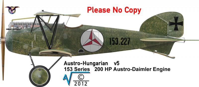 Albatros DIII Nr 153 227 FLIK 3J v5 MilNet (1050px).jpg