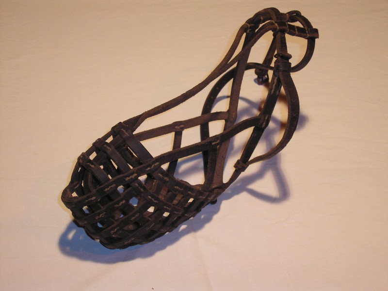 PB290143.JPG