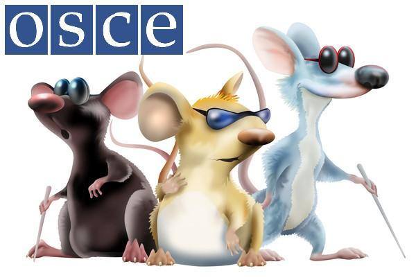 OSCE.jpg