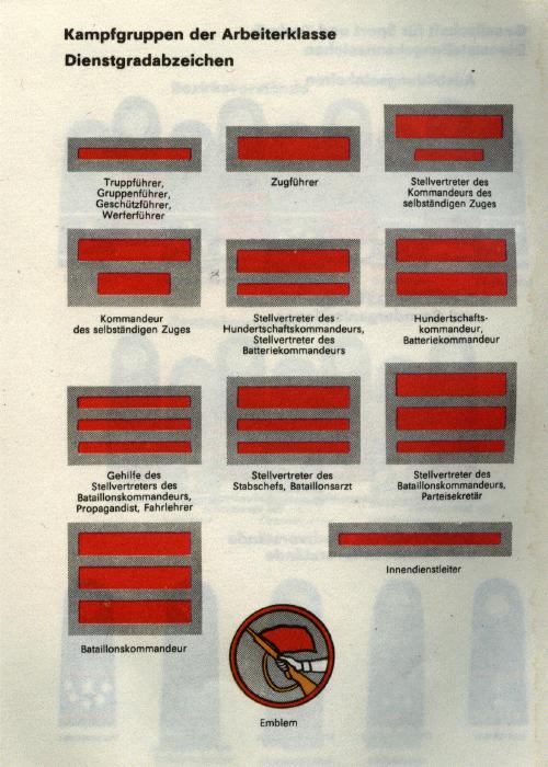 ins11.jpg