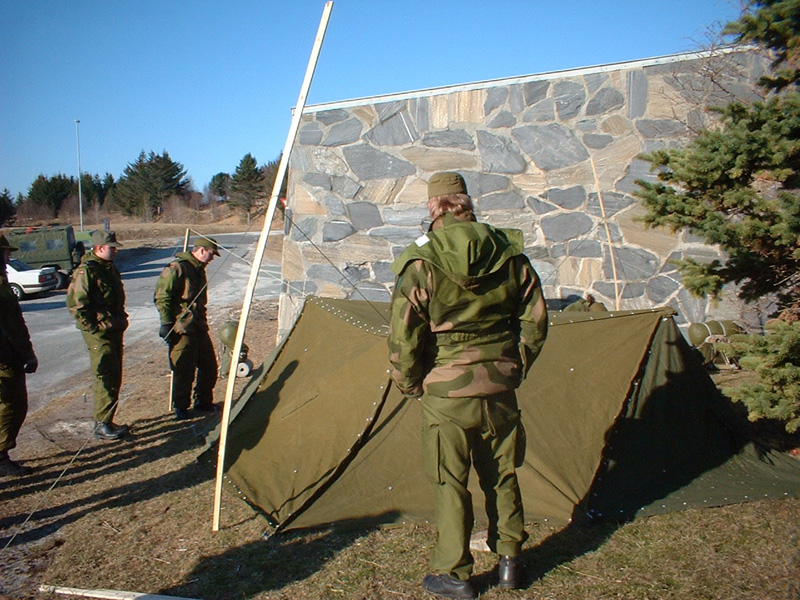 Norra telkmantel 1.JPG