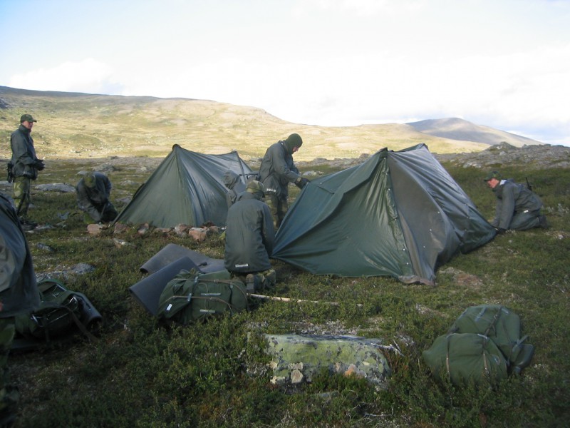 Rootsi telkmantlid 3.jpg