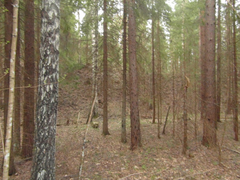 SAM_3636.JPG
